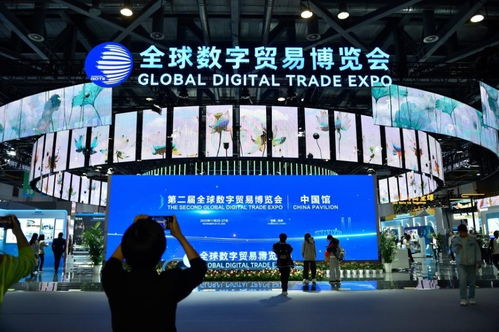 联合国官员 中国是全球数字经济体系的积极贡献者与建设者